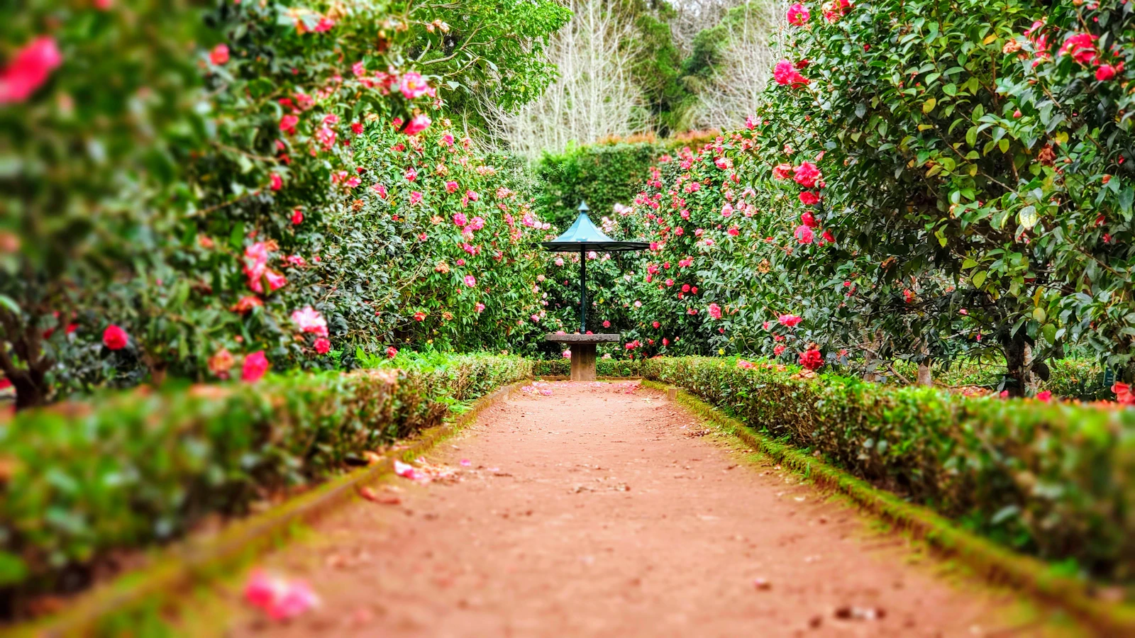 Outdoor & Landscaping in Lebanon