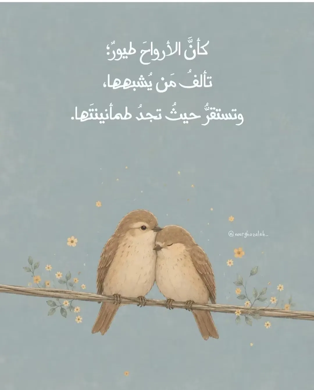 هناء الزعبي